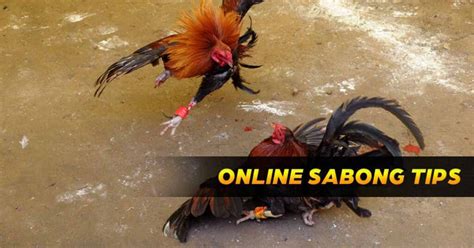 winning strategies in sabong|Online Sabong Tips & Tricks that Really Work (2024).